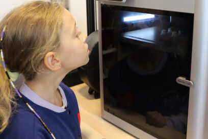 Agrandir l'image, fenêtre modale